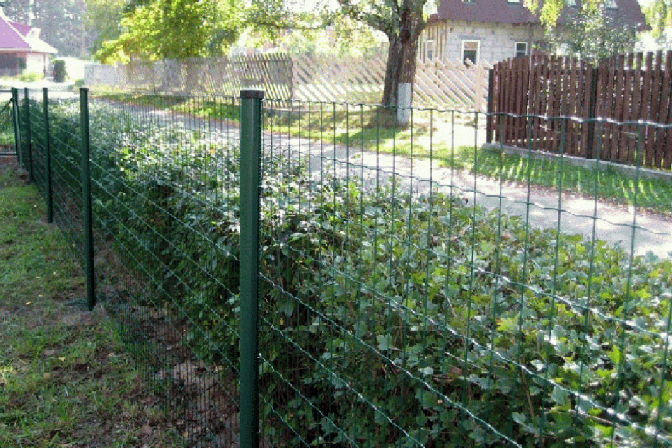 Дачный забор из сетки: делаем правильный выбор
